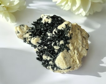 Aegirine and Orthoclase Mineral Specimen