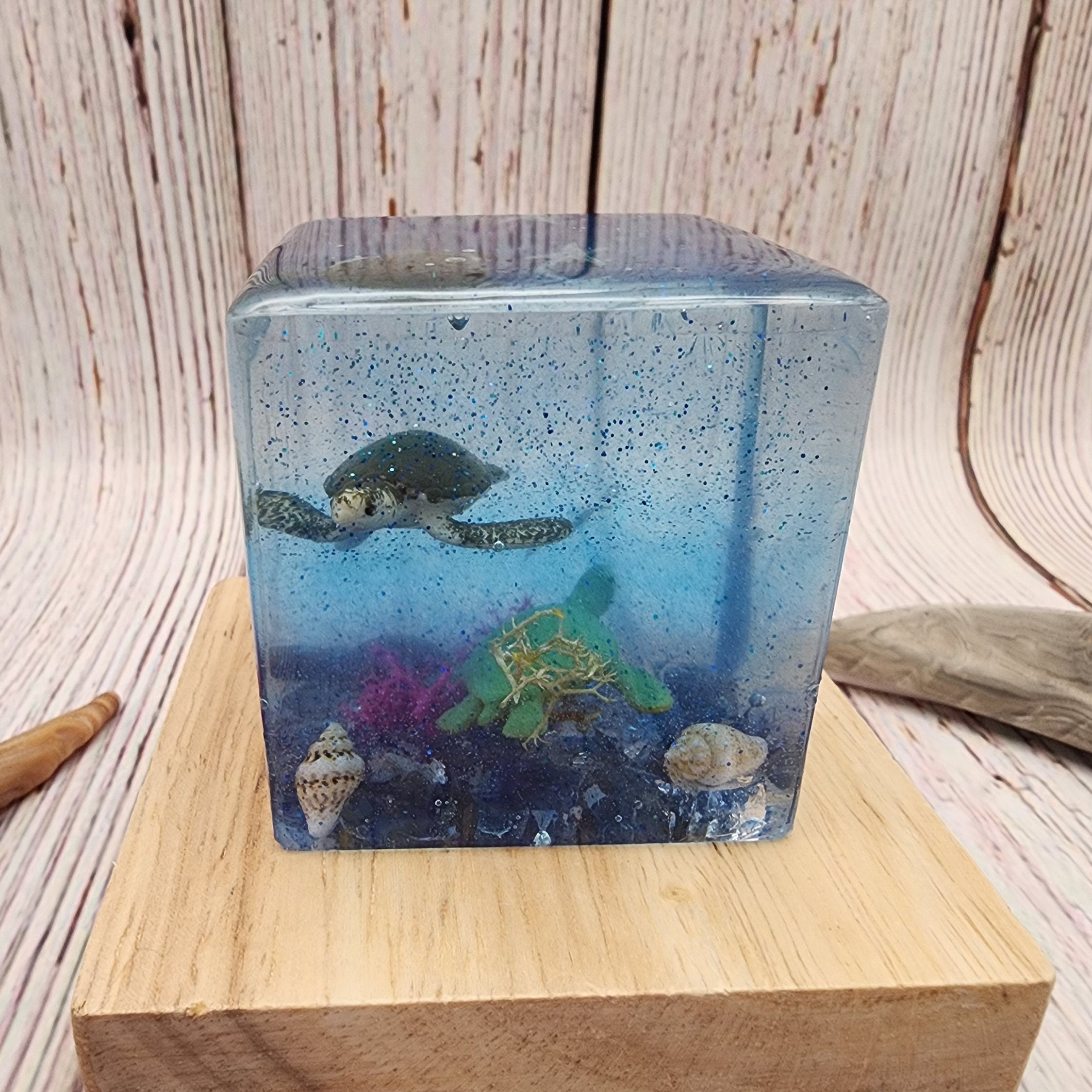 Turtle Cube Ocean Resin Turtle and Lobster Cube - Etsy