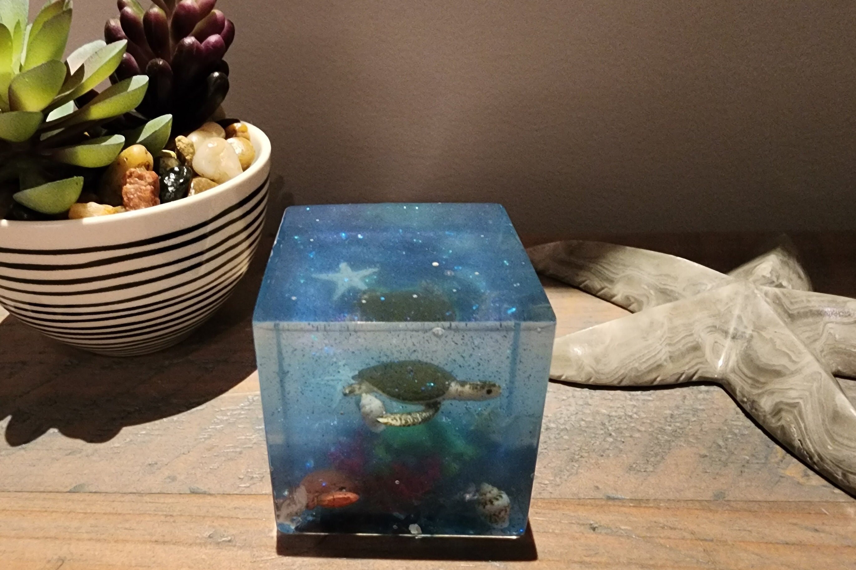 Turtle Cube Ocean Resin Turtle and Lobster Cube - Etsy