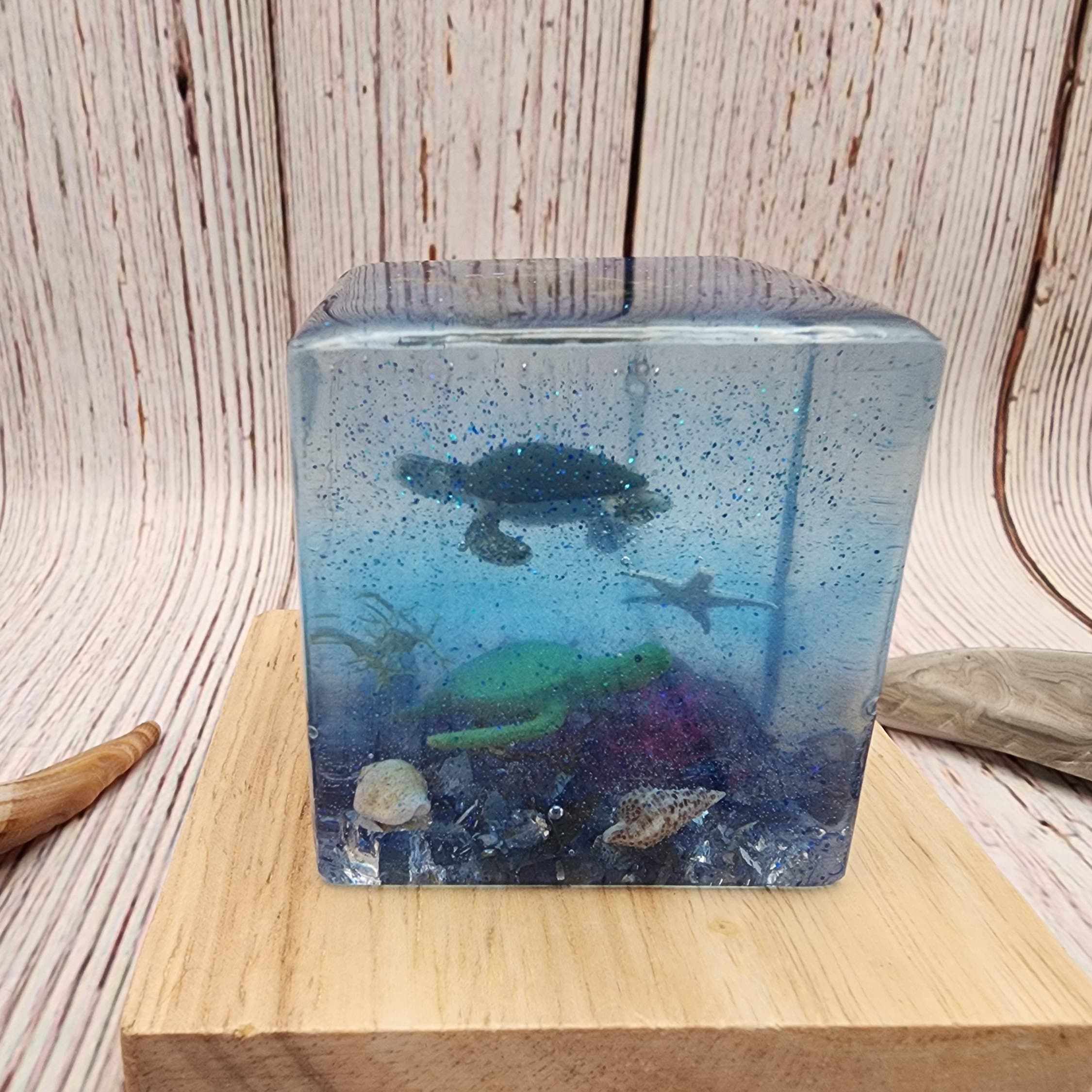 Turtle Cube Ocean Resin Turtle and Lobster Cube - Etsy