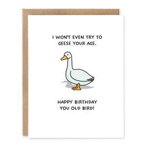 Je n'essaierai même pas de mesurer votre âge, carte d'anniversaire Punny, carte de voeux,