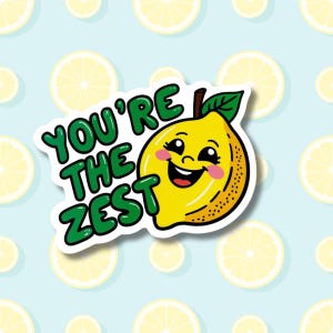 Pegatina de You're the Zest Lemon / Portátil, Botella de agua, Equipaje, Taquilla / Regalo Humor divertido / Fin de semana / Pegatina de gin tonic / Pegatina divertida