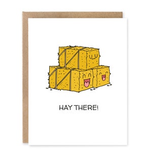 Cartes Pensez à vous / Carte drôle Hay There / Meilleure carte de voeux d'amitié / Carte d'anniversaire drôle pour un ami