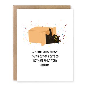 Carte d'anniversaire drôle de chat Carte de joyeux anniversaire sarcastique drôle pour le propriétaire de chat, l'amant de chat, la dame folle de chat - carte blanche à thème