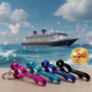May include: Four bottle opener keyrings in pink, teal, blue, and black, each with "WISH" printed on them. A cruise ship sails on the ocean under a blue sky with clouds and Mickey Mouse silhouettes in the background.