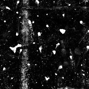 Buckshot, Photoshop Brushes, Splatter Brushes, Texture Brushes, Textures, ABR Brushes, Photoshop