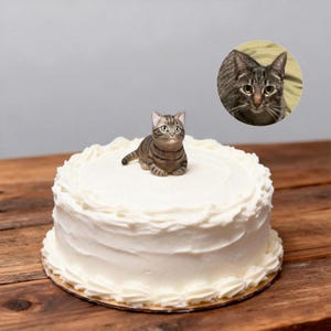 May include: A round white frosted cake with a decorative border, topped with a small figurine of a tabby cat. A circular image of a cat's face is in the upper right corner. The cake sits on a wooden surface.