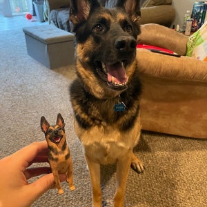 Może przedstawiać: Brązowy i czarny owczarek niemiecki z niebieskim kołnierzem i metką z napisem "Finn" siedzi na dywanie. Mniejsza, brązowa i czarna figurka owczarka niemieckiego jest trzymana w dłoni osoby.