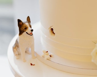 Personalized custom dog wedding cake topper , pet CakeTopper，Pets Birthday，cat caketopper , Anniversary pet，dog Figurines