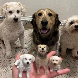 May include: Three dogs of different breeds are seated on a patterned rug, with three miniature dog figurines in the foreground. The dogs include a white poodle mix, a golden retriever mix, and a small white dog. The figurines are held in a hand.