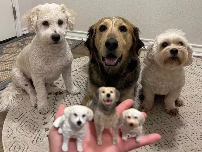 May include: Three dogs of different breeds are seated on a patterned rug, with three miniature dog figurines in the foreground. The dogs include a white poodle mix, a golden retriever mix, and a small white dog. The figurines are held in a hand.