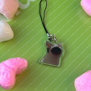 Pop Cat Phone Charm/Keychain
