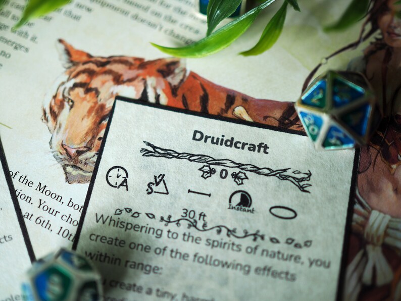 Druid Spell Cards Dnd 5e Template Editable Document Etsy Singapore