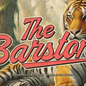 The Barston: Vintage Script Font for Branding & Logos