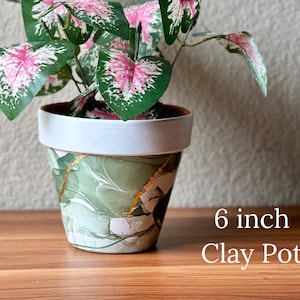 May include: A 6 inch green and white clay pot with gold accents, featuring a pink and green leafy plant.