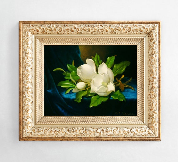 Giant Magnolias on A Blue Velvet Cloth | Martin Johnson Heade