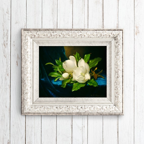 Giant Magnolias on A Blue Velvet Cloth | Martin Johnson Heade