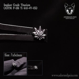 Pot Leaf Threadless Titanium ends/tops (JUST TOP!) nostril helix lobe cartilage tragus flat