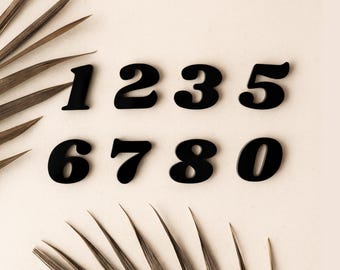 May include: Black, glossy numbers 1 through 0 arranged on a light beige surface, with a palm frond in the background. The numbers have a rounded font. The numbers are evenly spaced and are in a single row.
