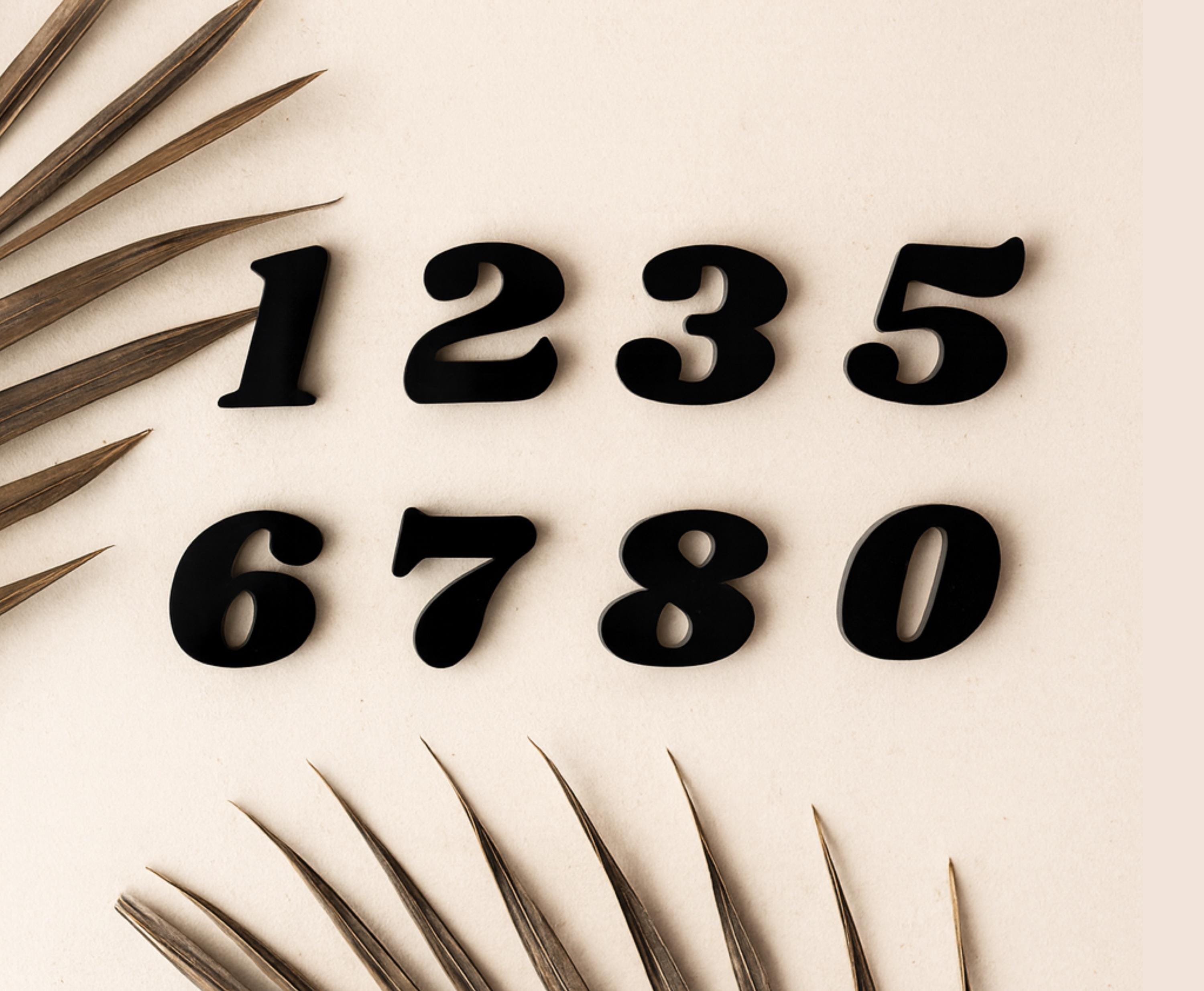 Blank Numbers- Acrylic Numbers - Numbers for Crafts - Business Sign ...