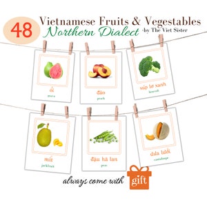 Northern Vietnamese Dialect Fruits and Vegetable Flash cards. Learning/Teaching Vietnamese Flashcards for Vietnamese Children(PDF files)