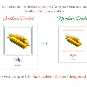 May include: A visual comparison of the Vietnamese words for corn in the Southern and Northern dialects. The Southern word is "bắp" and the Northern word is "ng&ocirc;". Both words are written in Vietnamese script and accompanied by an image of corn.