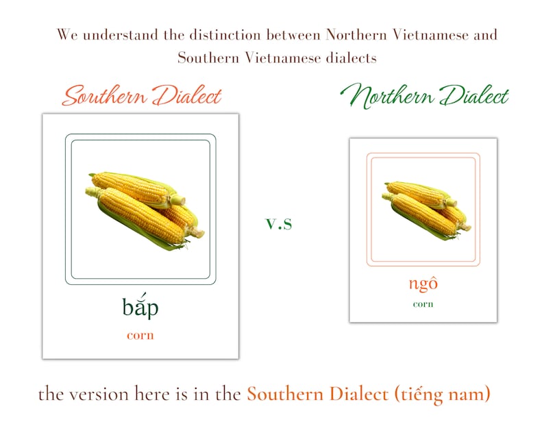May include: A visual comparison of the Vietnamese words for corn in the Southern and Northern dialects. The Southern word is "bắp" and the Northern word is "ng&ocirc;". Both words are written in Vietnamese script and accompanied by an image of corn.