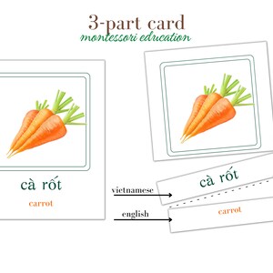 May include: A three-part card for Montessori education featuring a picture of carrots, the Vietnamese word "c&agrave; rốt", and the English word "carrot".