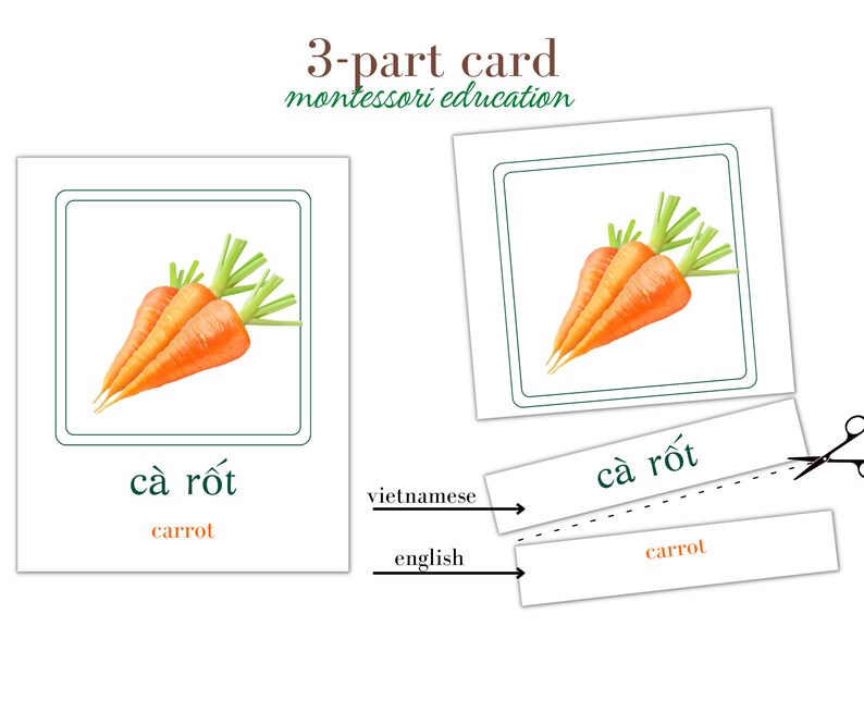 May include: A three-part card for Montessori education featuring a picture of carrots, the Vietnamese word "c&agrave; rốt", and the English word "carrot".