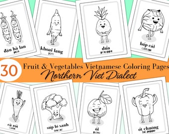 Bilingual Vietnamese-English Fruit Coloring Pages for Kids - Learn and Play! Northern Viet Dialect| Best Gift Viet kids