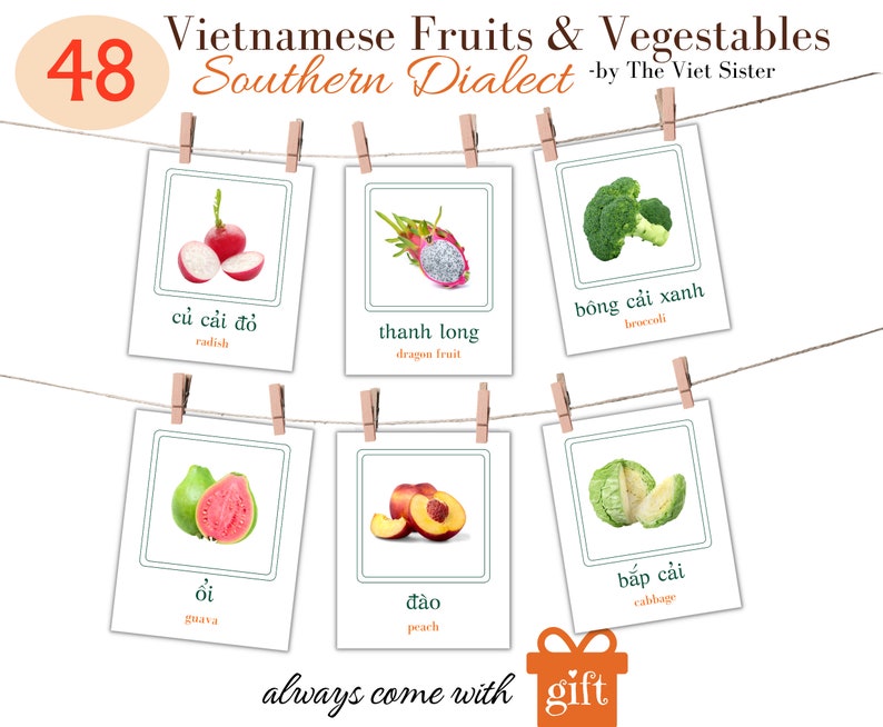 May include: A set of flashcards featuring Vietnamese fruits and vegetables with their English and Vietnamese names. The cards are hung on a string with clothespins. The cards feature images of radish, dragon fruit, broccoli, guava, peach, and cabbage.