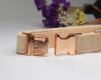 Blush Pink Velvet Collar y correa para perros