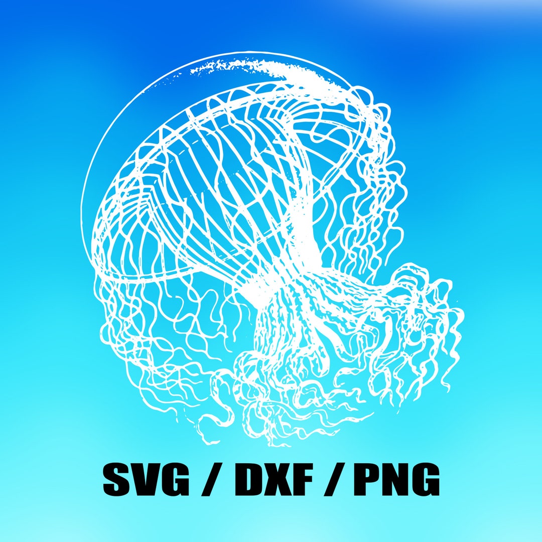 jellyfish-svg-cut-file-svg-dxf-png-image-for-vinyls-etsy