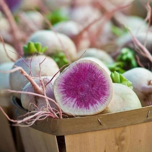50 Seeds | Red Radish Seeds, Watermelon Radish Seeds, Crisp & Spicy Root Vegetable, Non-GMO, Easy Plant, Fresh Salad Favorite