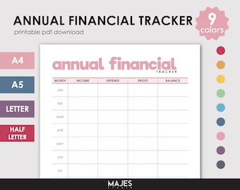 Annual Financial Tracker, Budget Planner (Digital Download)