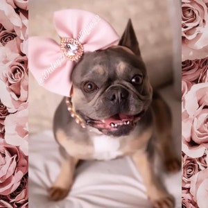 Big Diamond Bow | Big Bow | 5 inch Bows | Big Bows | Bow On Headband | Frenchie Dog Bow | Dog Bows