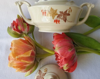 Vintage sugar bowl from the Tielsch-Altwasser factory, Germany, 40s of the 20th century