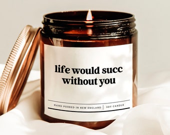 Light Would Succ Without You Candle, Succulent Candle, Nature Lover Candle, Bff Gift Candle, Co-worker Gift, Friendship Gift Box, Soy Candle