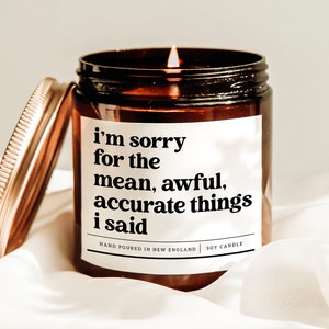 I&#39;m Sorry For The Mean, Awful, Accurate Things I Said Candle, Apology Candle, Friendship Candle, I&#39;m Sorry Gift, Rude Candle, Scented Candle