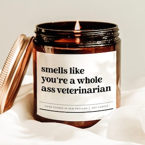 Riecht wie du bist ein ganzer Esel-Tierarzt-Kerze, Tierarzt-Dekor-Kerze, Geschenk für neuen Tierarzt, Tierarzt-Personal-Geschenk, Tierarzt-Schulgeschenk