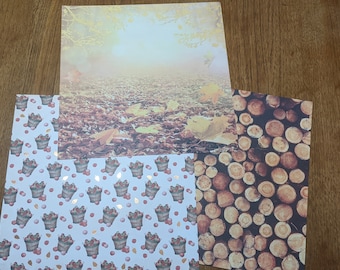 6pc 12 x 12 Fall cardstock, apple barrel, log, leaves motifs