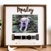 see more listings in the Pet Decor section