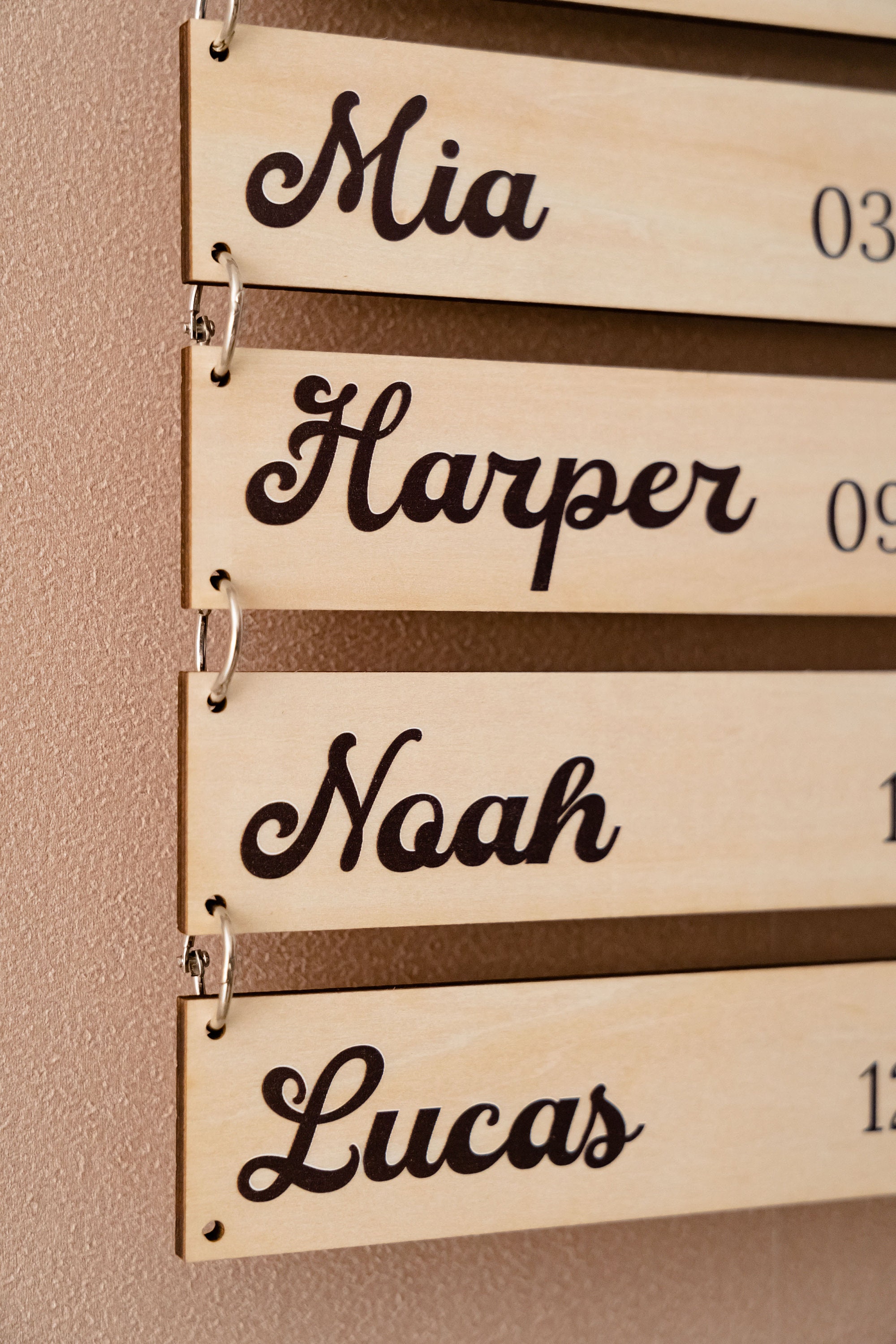 Wooden Grandchildren Sign, Family Name Plaque, For Grandma, Personalized Mom, Gift For Nana, Custom Wood Sign, Personalized Gifts E98