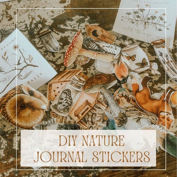 DIY nature stickers - 125 pack