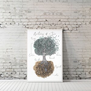 May include: A black and white illustration of the anatomy of a tree. The illustration shows the crown, leaves, twigs, branches, trunk, taproot, and roots of a tree.