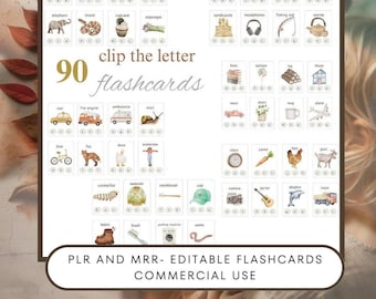 Cartes mémoire pour enfants DPP et MRR incluses - usage commercial, apprentissage précoce DFY
