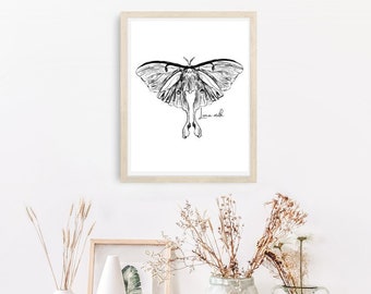 3x insect sketch posters NATURE CLASSROOM