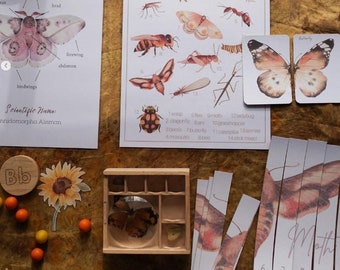 Mini-Insekteneinheit - Naturstudie