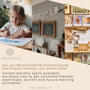 Może przedstawiać: Dziecko rysuje na papierze, z widocznym logo BarefootChild. Obraz przedstawia materiały edukacyjne do druku, w tym ekspozycję o tematyce pszcz&oacute;ł, oraz tekst "ALL our BarefootChild wildschooling learning printables, our whole shop".