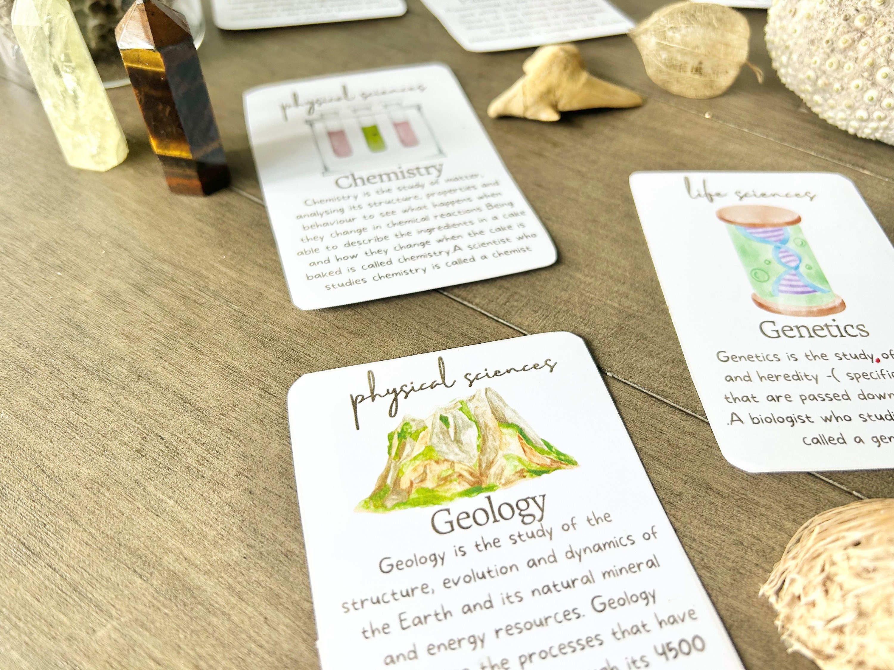 Science Flash Cards - Etsy